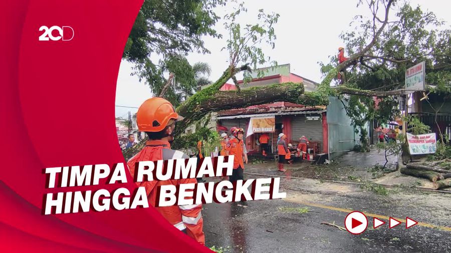 Hujan Angin Terjang Ciamis, Sejumlah Pohon di Jalan Nasional Tumbang!