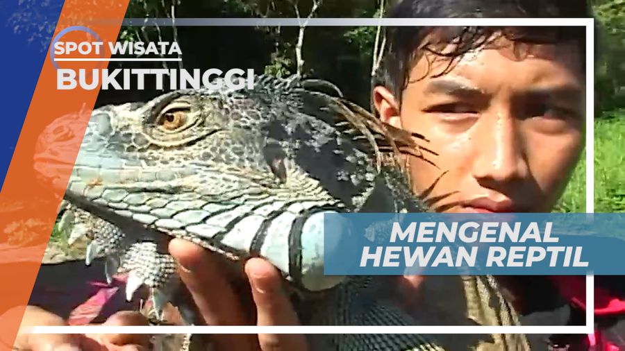 Jam Gadang Community, Para Pecinta Hewan Reptil Bukittinggi