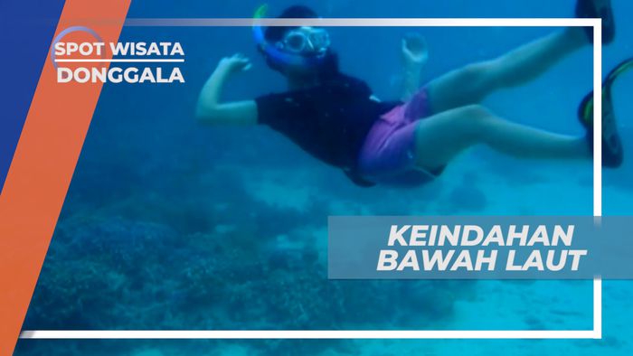 Wisata Snorkeling yang Memanjakan Mata dan Hati, Donggala