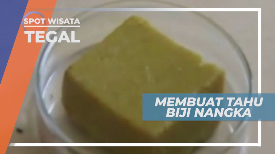 Biji Nangka, Inovasi Alternatif Bahan untuk Membuat Tahu, Tegal