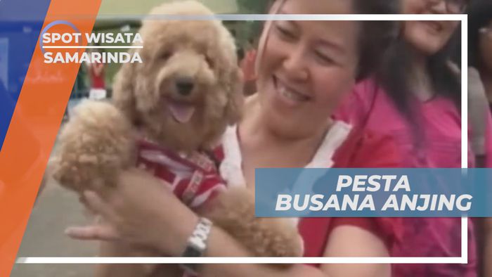 Pesta Busana Anjing Lucu Samarinda
