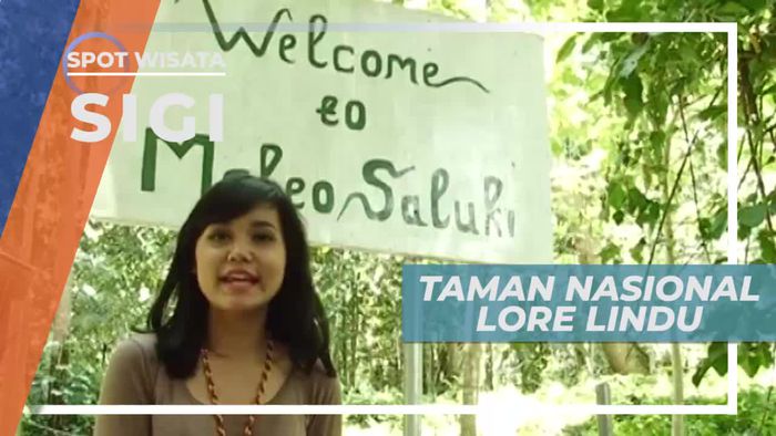 Taman Nasional Lore Lindu, Wisata Alam yang Cocok Bagi Keluarga, Sigi