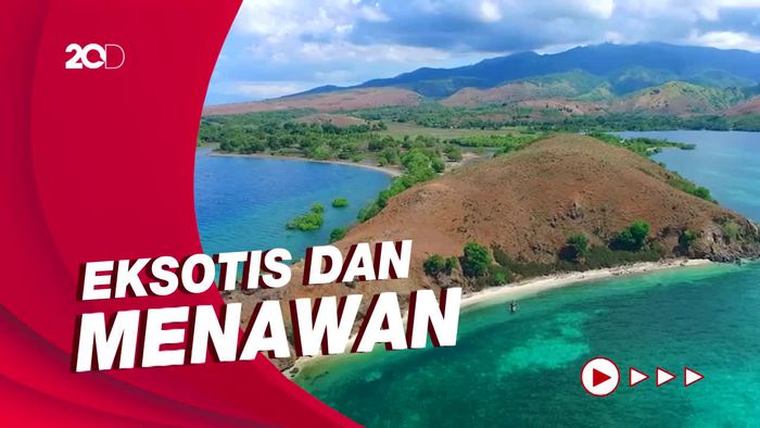 My Trip My Adventure: Jelajah Pulau Nusa Kutu yang Indah di Flores