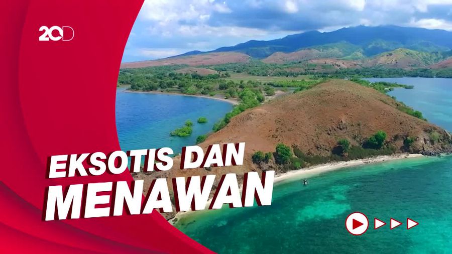 My Trip My Adventure: Jelajah Pulau Nusa Kutu yang Indah di Flores