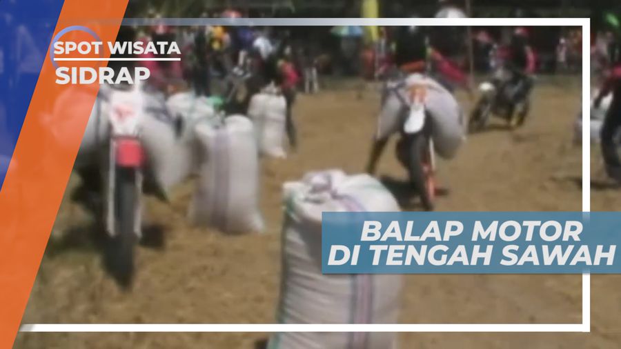 Adu Cepat, Tancap Gas Beradu Kekuatan dan Kecepatan di Tengah Sawah, Sulawesi Selatan