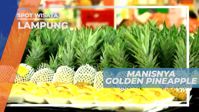 Golden Pinneaple, Rasa Manis Segar yang Kaya Serat, Lampung