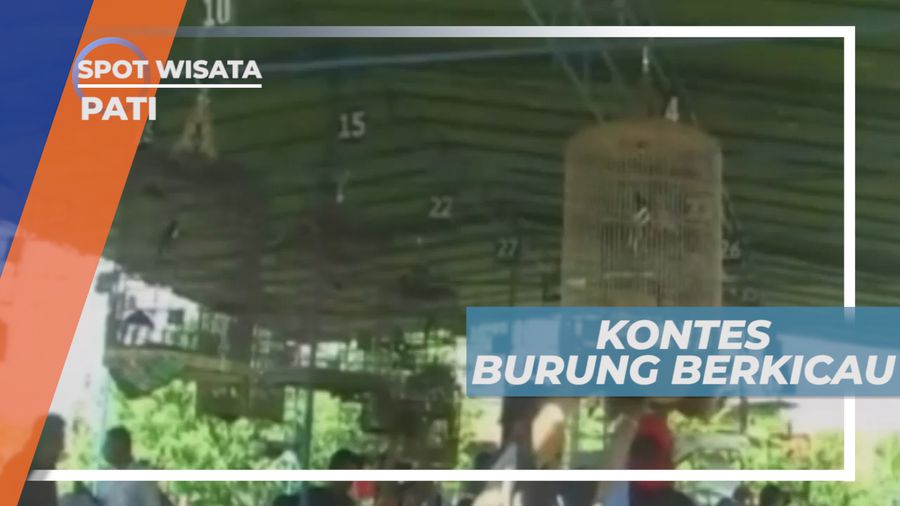 Adu Merdu Irama Kicau Burung, Pati
