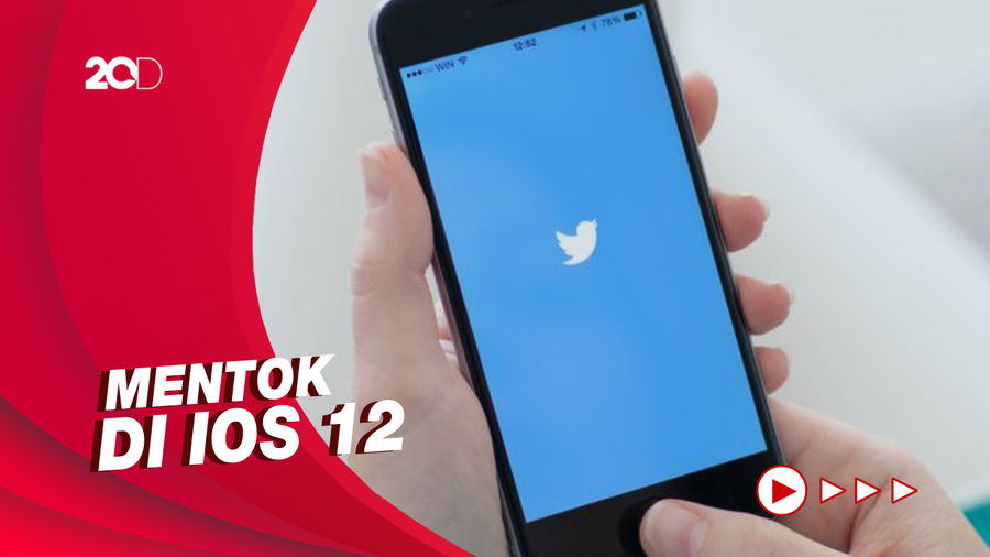 iPhone  6 dan 6 Plus Tak Bisa Akses Aplikasi Twitter Lagi