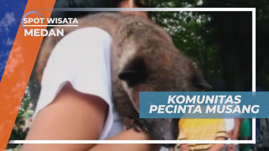 Unjuk Atraksi Musang Sambil Menunggu Waktu Berbuka Puasa, Medan