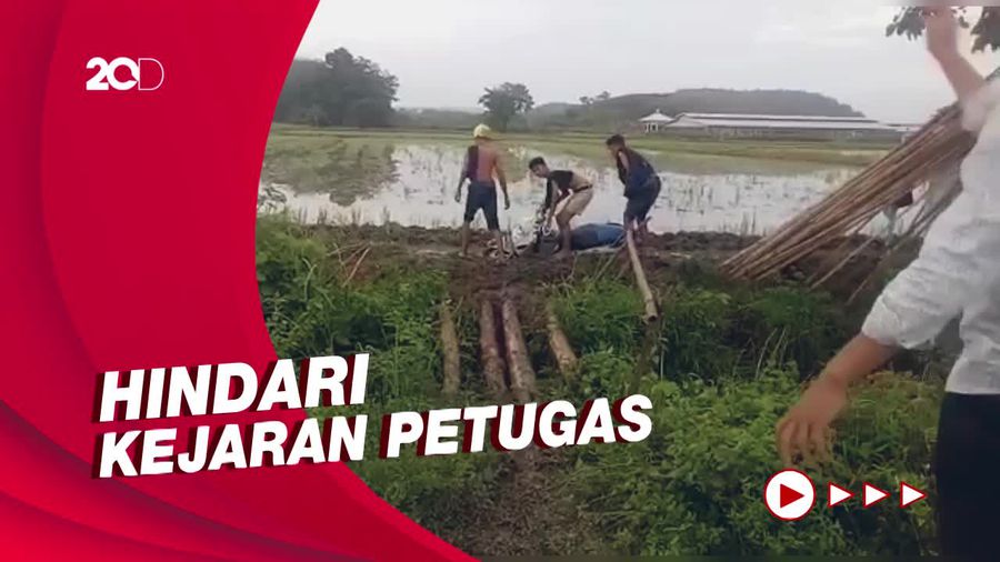 Pelaku Balap Liar di Sidrap Kabur ke Sawah karena Panik Dirazia
