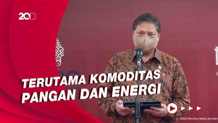 Airlangga: Naiknya Harga Komoditas di RI Akibat Geopolitik Rusia-Ukraina