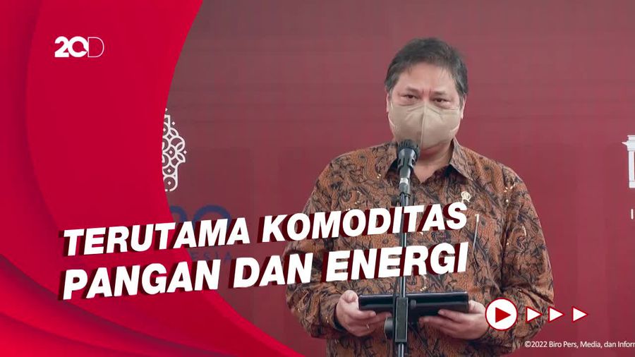 Airlangga: Naiknya Harga Komoditas di RI Akibat Geopolitik Rusia-Ukraina