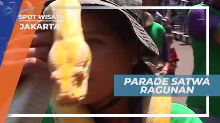 Parade Satwa Ragunan, Wisata Sederhana Keluarga Dalam Kota yang Edukatif, Jakarta