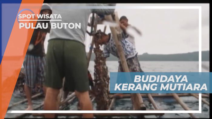 Budidaya Kerang Mutiara, Hasil Bumi Lain Andalan Pulau Buton