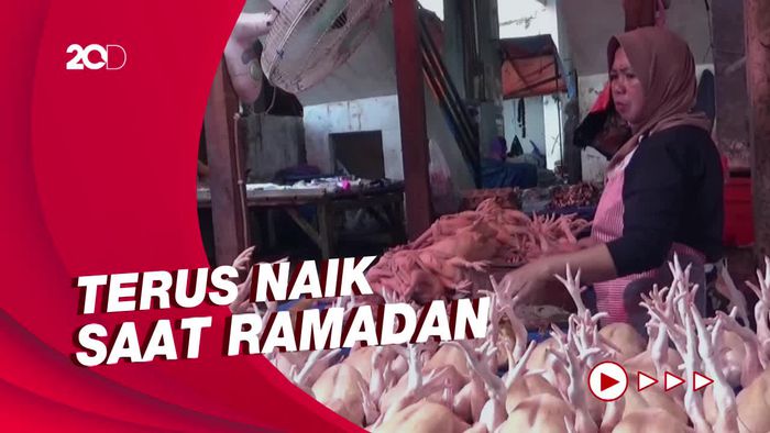 Harga Ayam di Parepare Melonjak, Tembus Rp 40 Ribu Per Ekor