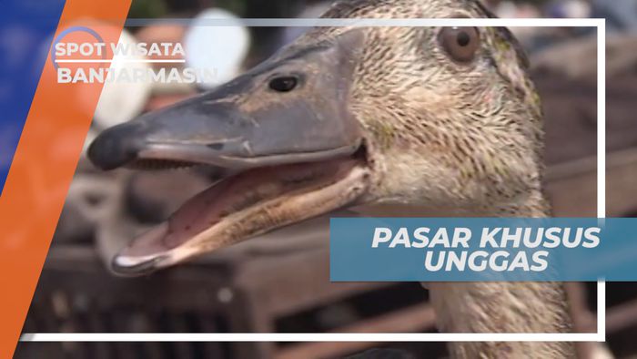 Pasar Unggas, Tempat Populer Jual Beli Unggas di Kabupaten Banjar, Banjarmasin