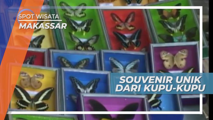 Mengenal Ratusan Jenis Kupu-kupu di Kawasan Wisata Bantimurung Sulawesi Selatan