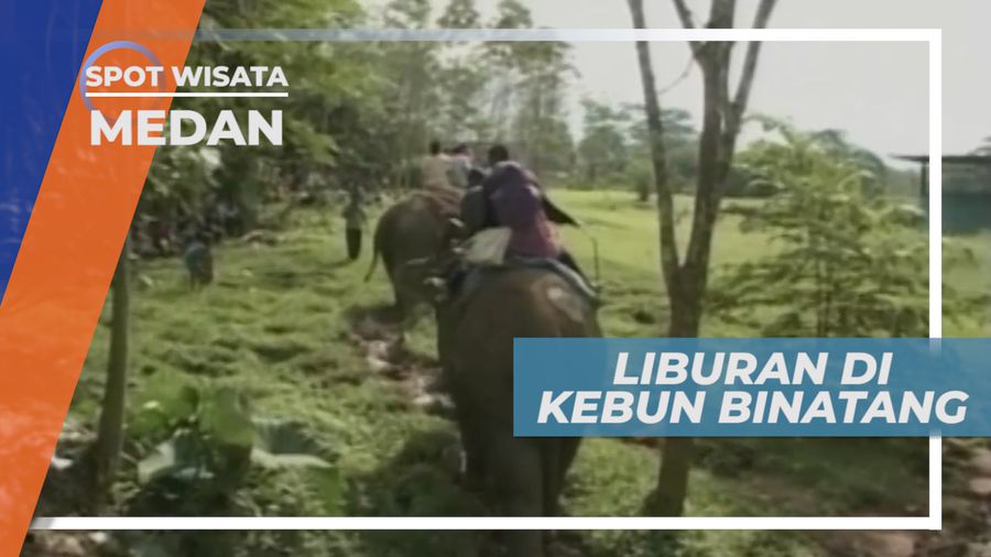 Serunya Berlibur di Taman Marga Satwa Favorit Warga Kota Medan
