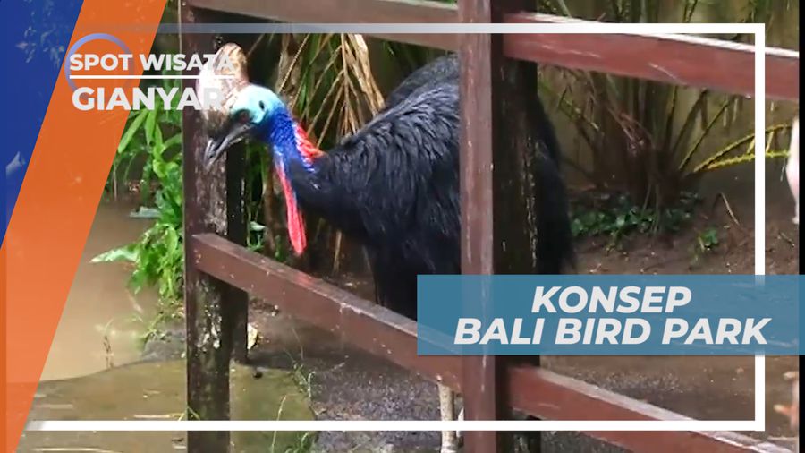 Taman Burung, Konsep Hutan Buatan yang Menyerupai Habitat Aslinya, Gianyar