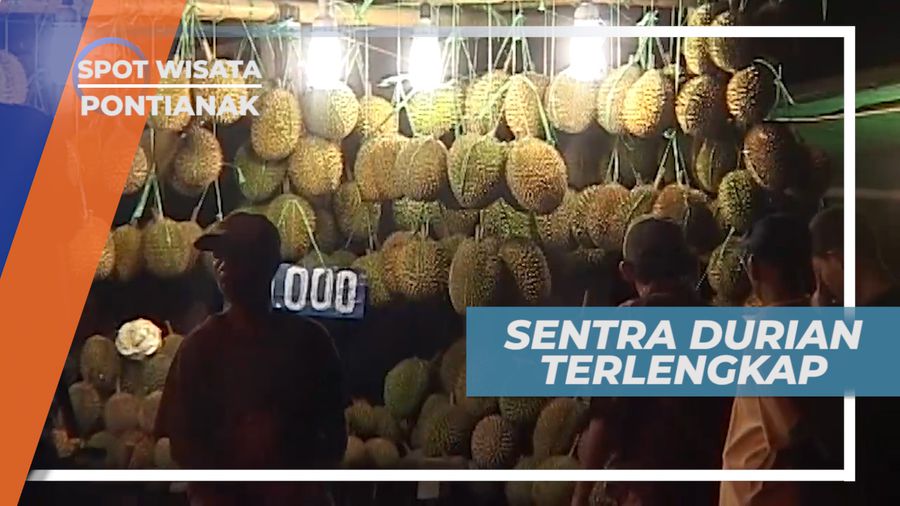 Sentra Durian Pontianak, Tempat Wajib Dikunjungi Saat Berwisata Ke Pontianak