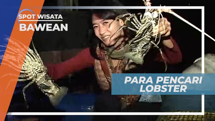 Berburu Lobster di Sela Karang ala Nelayan Bawean Jawa Timur