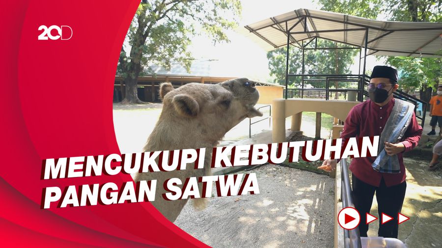 Berbagi Bersama Hewan di Ramadan Lewat Sedekah Satwa TSTJ