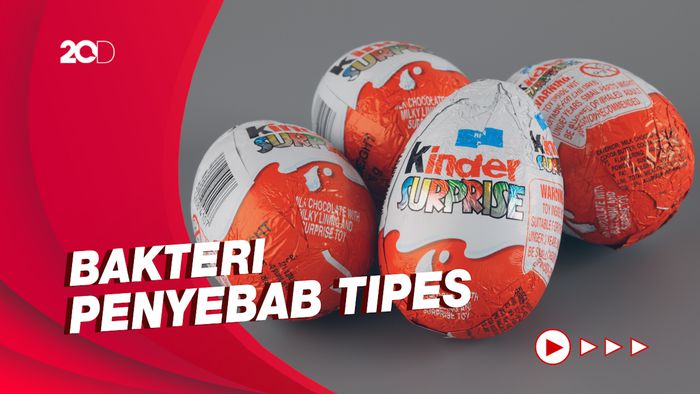 Respons Tubuh saat Konsumsi Makanan yang Terkontaminasi Salmonella