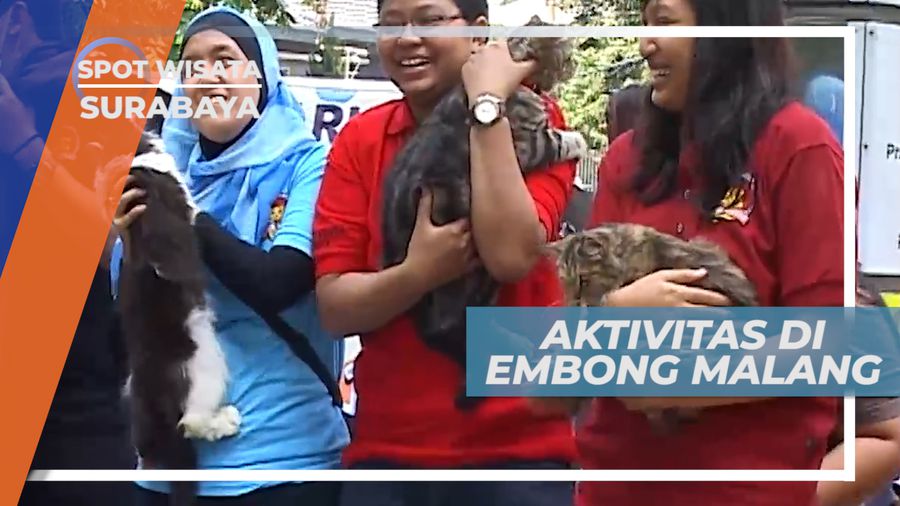 Santap Sedap Semanggi di Pagi Hari, Surabaya