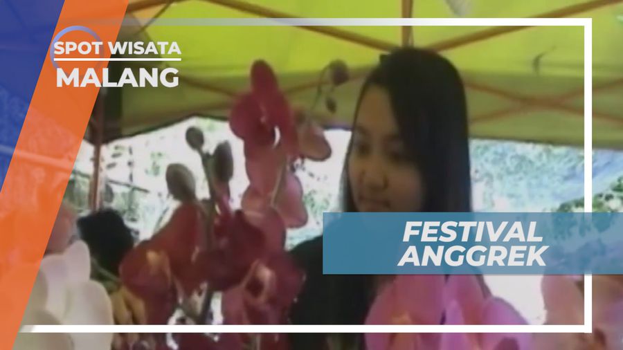 Festival Anggrek Malang, Aneka Tanaman Jenis Anggrek Dipamerkan