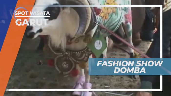 Domba Catwalk, Festival Rakyat yang Unik di Alun-alun Garut