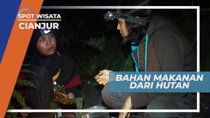 Jenis Tanaman dan Hewan yang Bisa Dimakan di Hutan, Cianjur Jawa Barat
