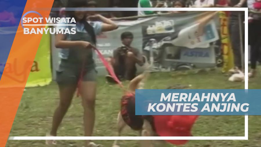 Lucu dan Menggemaskan, Anjing Berjoget Dangdut di Acara Kontes Anjing, Banyumas