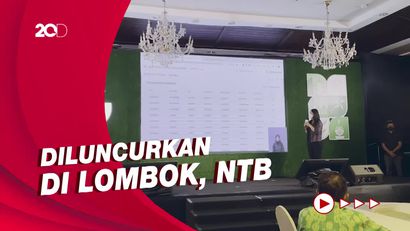 Environmental Insights Explorer, Teknologi Baru Google Perangi Emisi Karbon