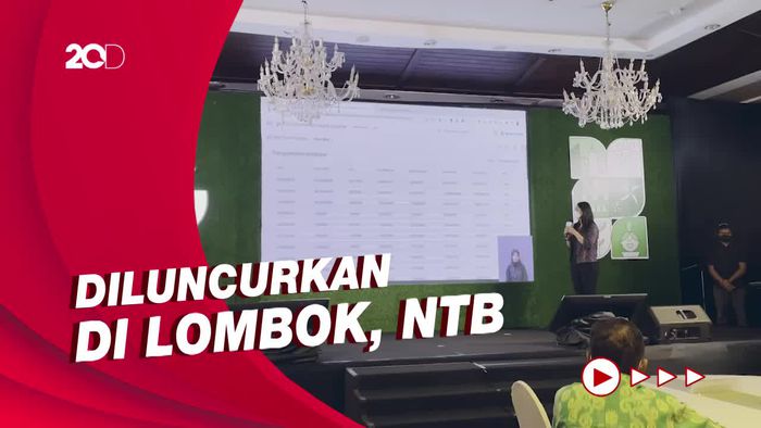 Environmental Insights Explorer, Teknologi Baru Google Perangi Emisi Karbon