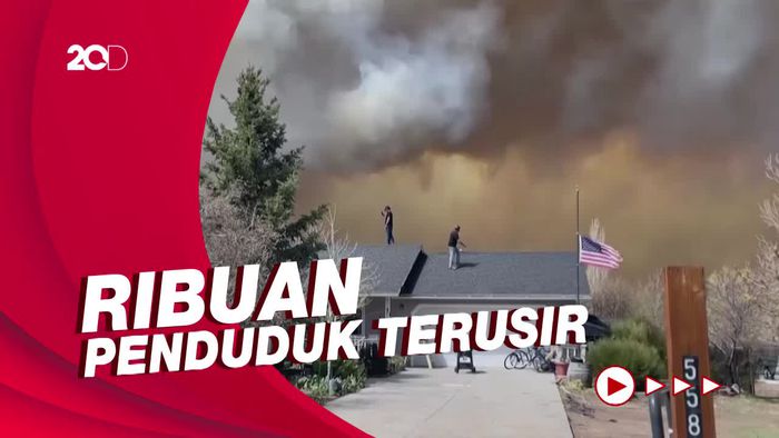 Ratusan Rumah Terancam Akibat Kebakaran Hutan di Arizona