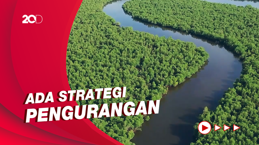 Upaya Indonesia Bersihkan Sampah yang Mengancam Ekosistem Mangrove