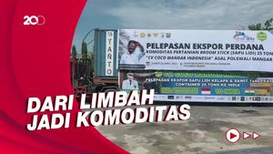 Pemuda Polman Sukses Ekspor 25 Ton Sapu Lidi ke India