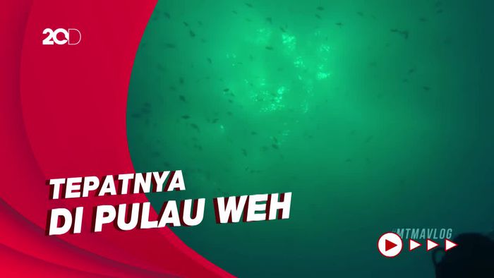 My Trip My Adventure: Keindahan Bawah Laut Batee Tokong di Aceh