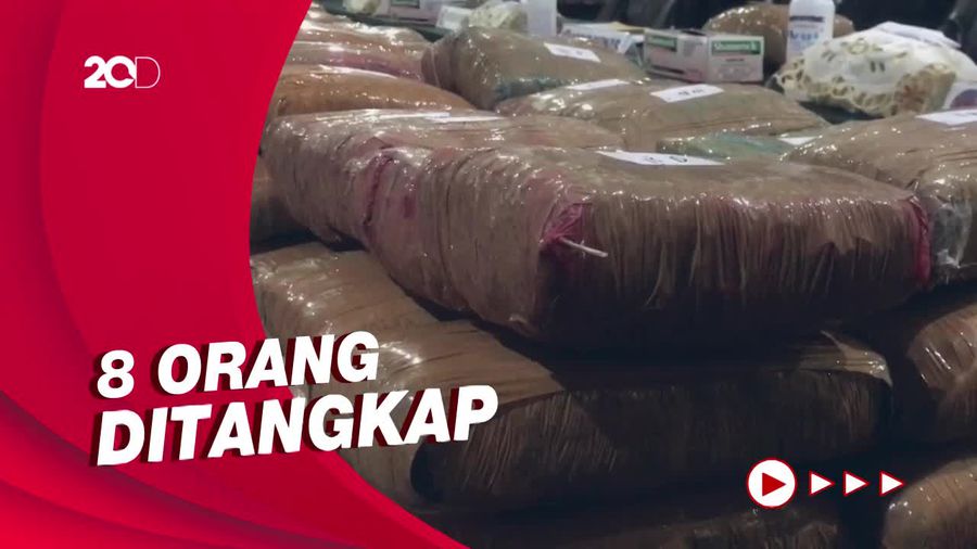 Penampakan 471 Kg Ganja dari Aceh yang Hendak Dijual ke Jakarta