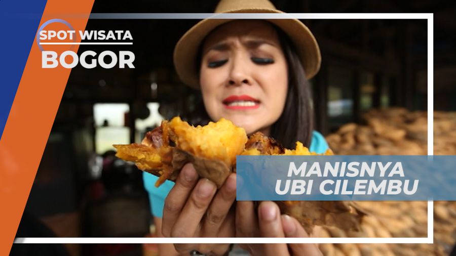 Ubi Cilembu, Jenis Ubi dengan Rasa Manis ala Karamel, Bogor