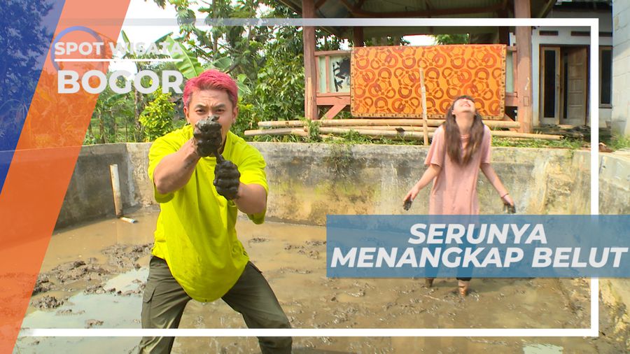 Serunya Menagkap Belut Dalam Lumpur, Bogor