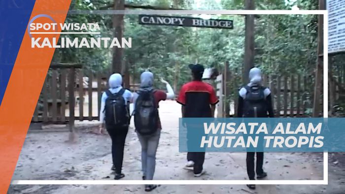 Wisata Alam Bangkirai, Hutan Tropis Kalimantan Timur