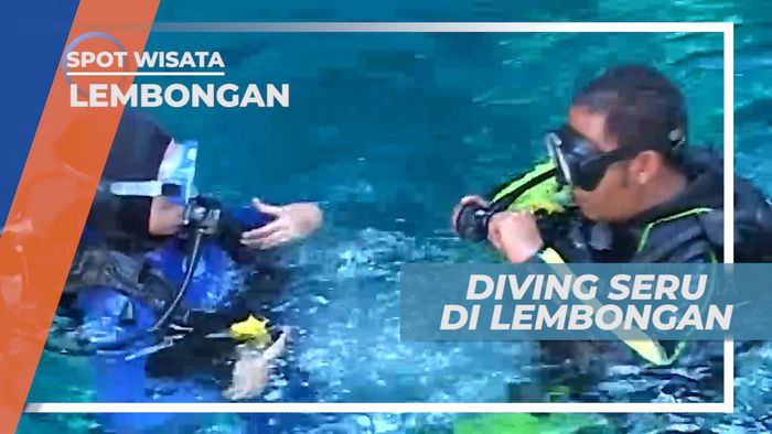 Keindahan Biota Laut di Pulau Lembongan Bali