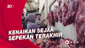 Jelang Lebaran, Harga Daging Sapi di Kulon Progo Tembus Rp 150.000 per Kg