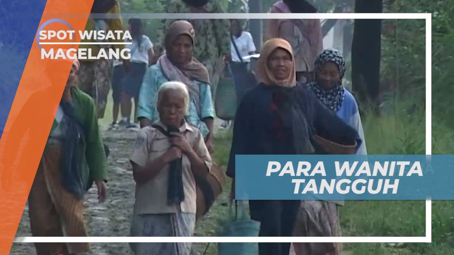 Jalan Panjang Para Wanita Tangguh Pemburu Mawar Hutan Menuju Pasar, Magelang