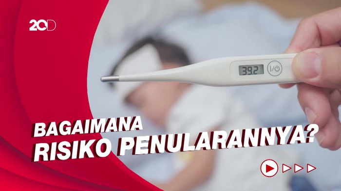 China Deteksi Kasus Pertama Flu Burung H3N8 pada Manusia
