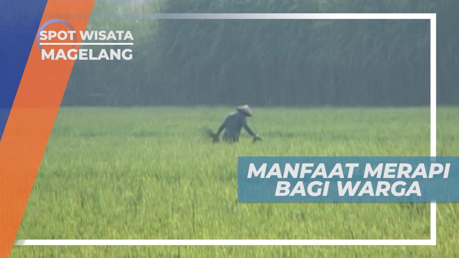 Tanah Subur, Salah Satu Berkah Berada di Kaki Gunung Merapi, Magelang