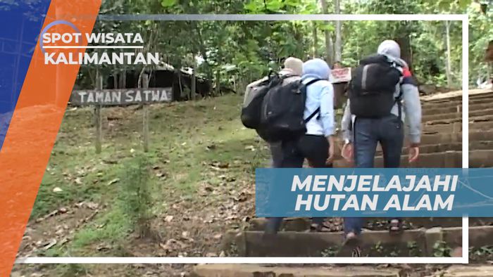 Aneka Vegetasi dan Satwa di Hutan Alam Samarinda/ Kalimantan