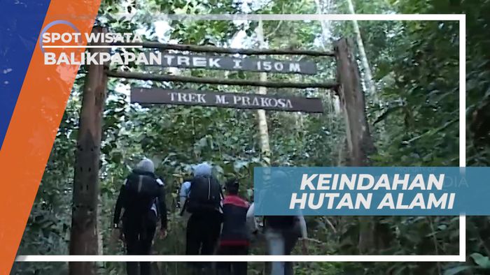 Hutan Tropis yang Kaya Panorama Alam di Bukit Bangkirai, Balikpapan