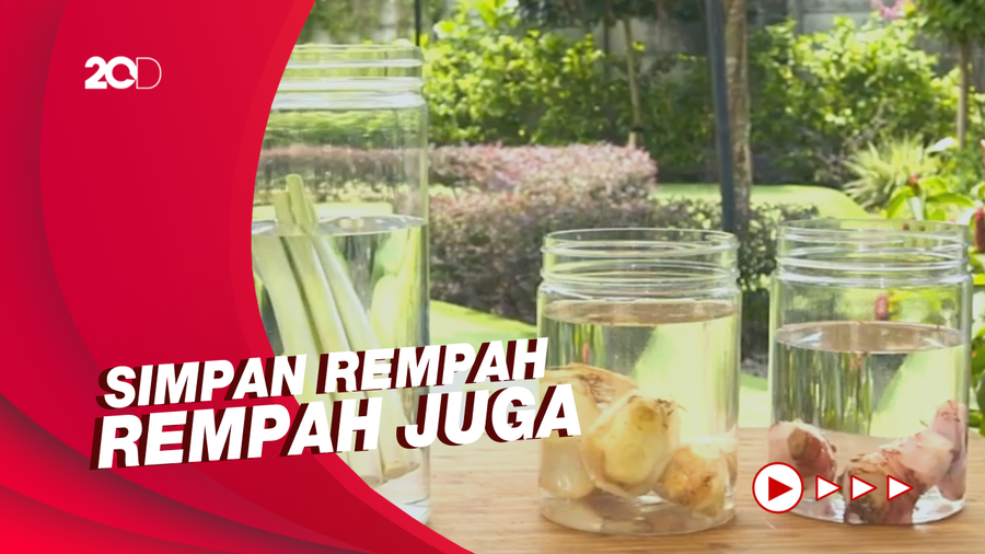 Masak Masak: Tips Simpan Sayuran di Kulkas Agar Tak Layu